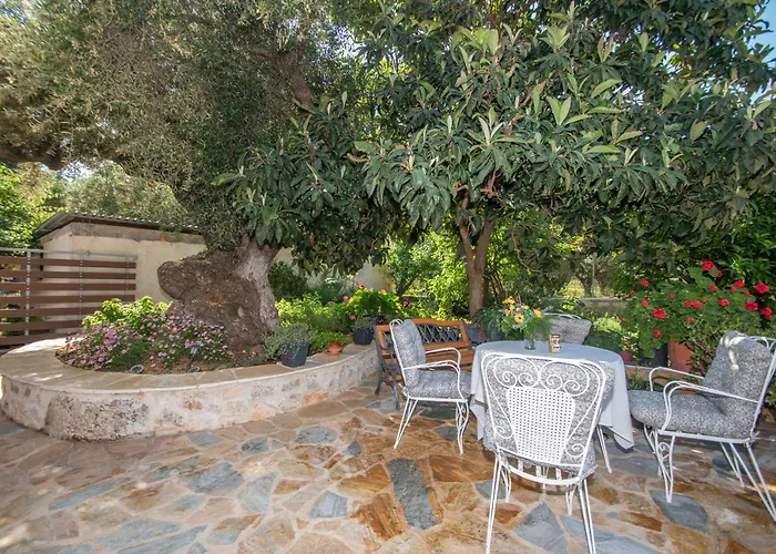 Sohoro Forest Hill By 