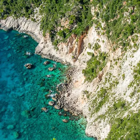 Sohoro Forest Hill By 