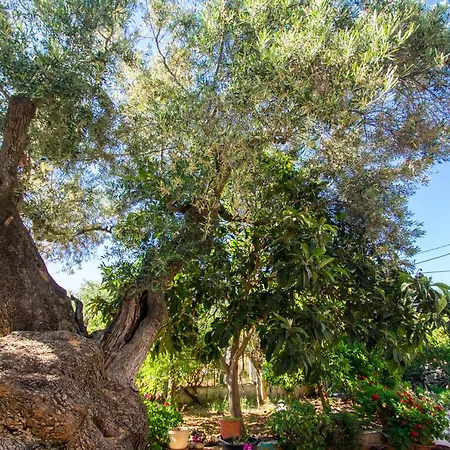 Διαμέρισμα Sohoro Forest Hill By 