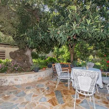 Sohoro Forest Hill By 