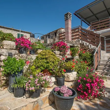 Sohoro Forest Hill By 