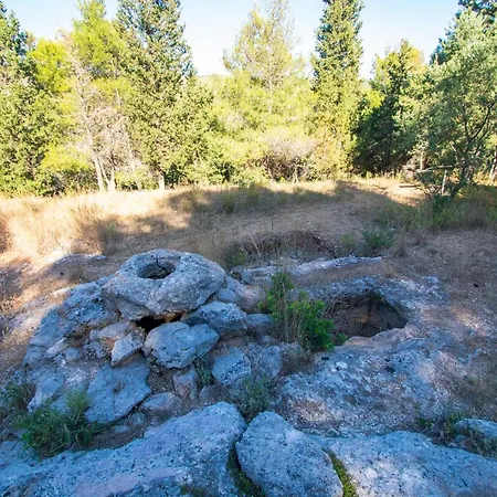 Sohoro Forest Hill By 