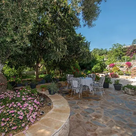 Sohoro Forest Hill By 