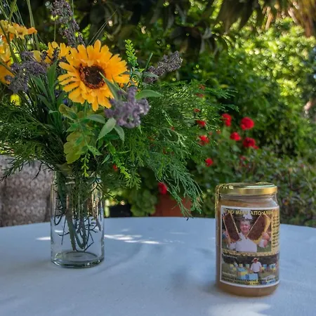 Sohoro Forest Hill By 