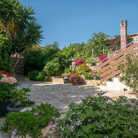 Sohoro Forest Hill By 